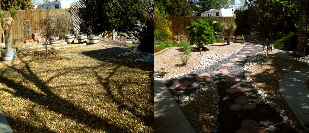 Scubas Backyard Before & After | GM Landscapes Albuquerque