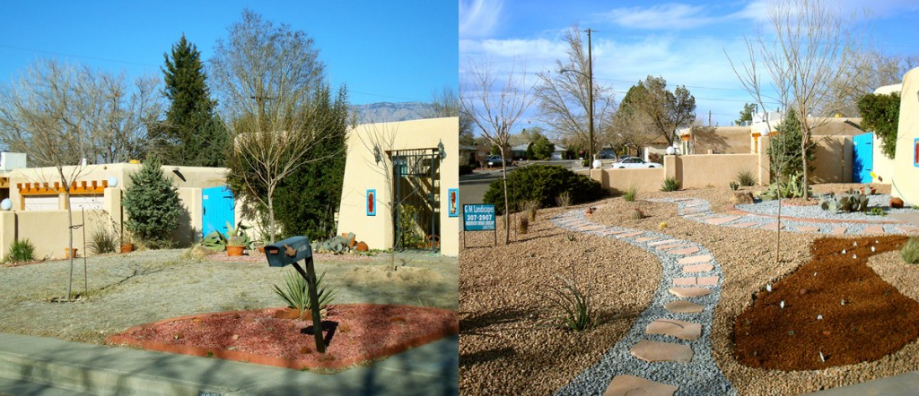 Scubas Front Yard Before & After - GM Landscapes Albuquerque