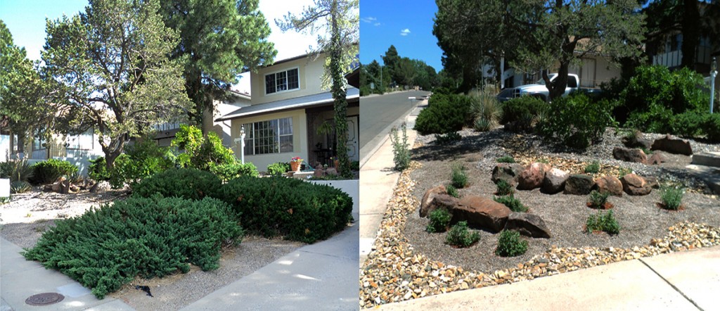 Roberts Front Yard Before & After - GM Landscapes Albuquerque