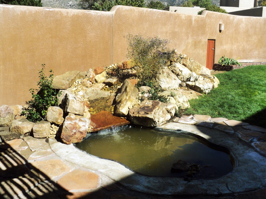 Truesdell Pond | Albuquerque Landscaping Services