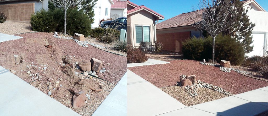 Front Yard Before & After - GM Landscapes Albuquerque